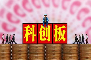 科創板交易規則解讀 無T+0、50萬門檻與信息咨詢